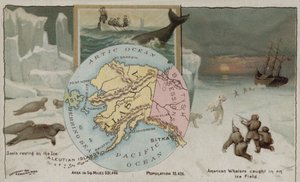 Alaska da American School